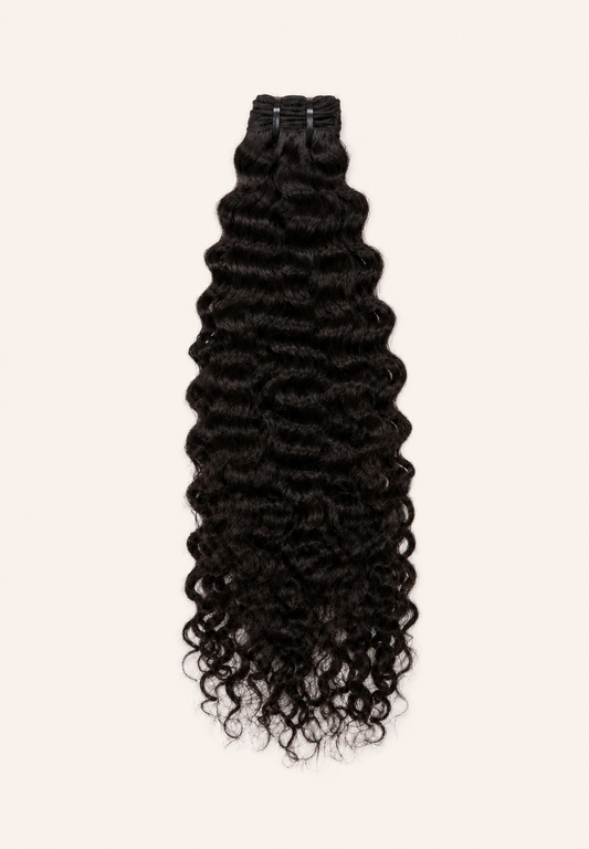 Burmese Curly